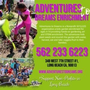 adventures to dreams